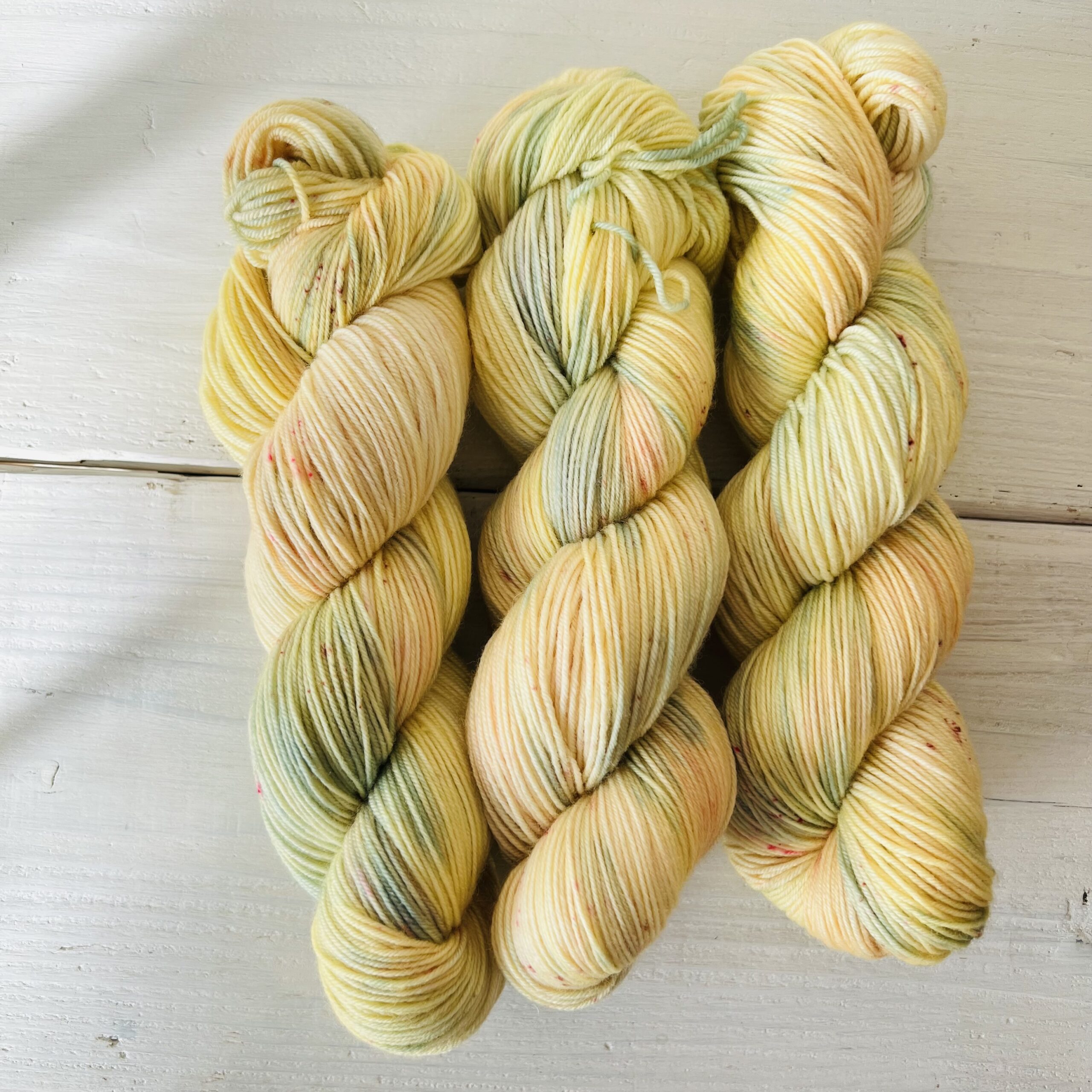 05.Passionfruits holiday